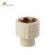 ASTM 2846 Standard CPVC/PVC Female Adapter Brass with Customized Fitting Options