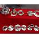 Heat Resistant Duplex Stainless Steel Flanges ASME B16.5 Alloy 310/310S