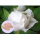 Peony Root Plant Extract Powder Paeonia Lactiflora For Skin Whitening