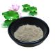 Lotus Leaf Herbal Extract Powder 10% 50% 98% For Dieting Weight Control