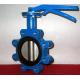 Ductile Iron Centerline Butterfly Valves Lug Style Pneumatic Operated ANSI 150