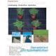 PP ground cover,weed barrier Fabrics, weed mat in strawberry garden, Agricultural weed control pp woven grass mat, 70gsm