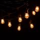 Garden Globe Garland Light Power Cord Operated Festoon String Lights For Wedding