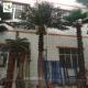 UVG 20ft Decorative artificial palm trees sale with UV resistant leaf for hotel landscap