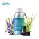 Forest Pure Therapeutic Essential Oils , Natural 100 Natural Essential Oils