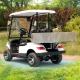 LSV 2 seater Golf Cargo Golf Cart With Rear Box 48 V-72 V New Energy Vehicles