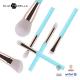 6pcs OEM Makeup Eye Brushes For Beauty Care, Cruelty Free Synthetic Hair Makeup Brush Kit