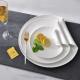 Irregular Shape Glazed Ceramic Plate Set Sustainable Eco Friendly For Restaurant