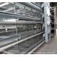 Poultry Cage Broiler Farm Equipment Automatic Battery Cages System For Broiler Chicken