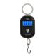 25 Kg Colorful Key Ring Design Mini Digital Scale Travel Luggage Scale