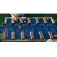 PLC Multihead Weigher Packing Machine Speed Belt Scale For Fresh Orange