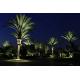 Energy Saving Customized LED Light 48W-72W LED Palm Tree Outdoor
