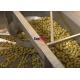 Multihead Weighing Machine Multihead Weigher for Vegetables Olives Hygienic Design Filling Machine