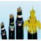 PVC Steel Wire Copper Shielded Cable Low Voltage Control 750V