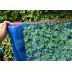 Bug Proofing Transparent Insect Mesh Net 125 Gsm High Density 18x18 Mesh
