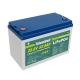 Lithium Ion Ferrous Phosphate Lifepo4 Battery For Ev 24v 50ah