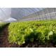 Beautiful Polyethylene Film Greenhouse Good Pressure Resistance For Lettuce Planting