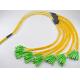 72 Core Pre Terminated Multi Fiber Cables Single Mode Trunk Line Interconnection
