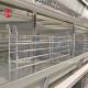 Chicken 12 Cells Layer Battery Cage System 4 Tier For Farm Adela