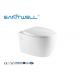 Dual Flush Fashionable Water Saving Toilets Wall Outlet Toilet With Full Pipe Glaze