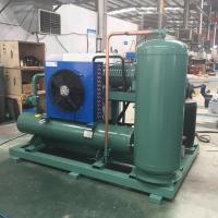 Chinese Manufactory Low Temperature  Single Screw Compressor Condensing Unit