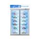 Energy Saving Customizable Commercial Display Freezer For Food Products Preservation