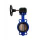 DN50-DN300 Gear Operated Butterfly Valve Wafer End for Water