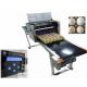 Automatic Egg Date Stamp Machine / Continuous Inkjet Printer For Food Industry