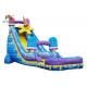 Colorful Ice Cream Inflatable Water Slide Single Lane Fire Retardant