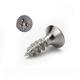 A2 SS 304 Stainless Steel Pozi Drive Phillips Flat Head Self Tapping Chipboard Screws