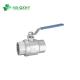 NPT Standard Two Piece Industrial Stainless Steel Ball Valve for Plastic Products