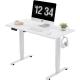 Home Office Electric Standing Desk with Custom Single Motor Compact and Versatile