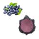 Natural Blueberry Extract Powder / Blueberry Anthocyanin