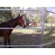 Australia Hot dipped galvanized 1.8m height  livestock steel horse fence panels