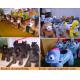 Happy Rides On Animals Battery Motorized Animals Ride Coin, Plush Animal Electric Scooter