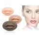 3D Silicone Lip Permanent Makeup Tattoo Practice Skin 7.8cm*5.1cm Soft Simulation