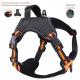Security Reflective Pet Harness Adjustable Thickened Buckle Neck Dog Harness