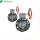 Flange Connection Form DIN/BS/ANSI PVC Gear Type Butterfly Valve for Easy Installation