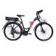 24 Speed Luxury Electric Bicycle 250W 26 Inch E Bike With 48V Lithium Battery