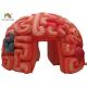 Giant 4m  Inflatable Brain Replica Artificial Organs For Educational SGS EN71