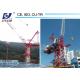 30m Lifting Jib Luffing External Climbing Trolleying Tower Crane QTD3025