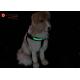 Adjustable USB Rechargeable LED Dog Harness Collar Easy Walking For Doggies