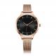 3ATM Ladies Alloy Quartz Watch Mesh Bracelet Brass Watch Face Sun Ray Effect