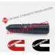 Diesel N14 NT855 Common Rail Fuel Pencil Injector 3084398 3083879 3084891