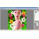 PHOTOSHOP psd layers to 3D software for 3d lenticular print/ best than 3D Traxi lenticular software