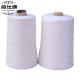 0.15mm To 1.5mm PPS Yarn Chemical Corruption Proof Flame Retardant  Monofilament