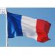 Cheap Shipping Rate from China to France International Freight Forwarding