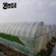 Aging Resistance Screen Mesh Net For Greenhouse 0.8 * 0.8mm 30 mesh
