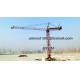 Mini 700kg Load Inner Climbing Tower Crane 9mts Jib Length CIF Brazil