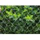 SS304 7x7 Diamond Aviary Wire Mesh / 316 High Tensile Steel Wire Mesh